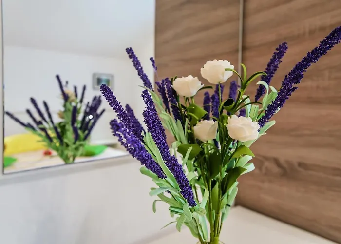 בית הארחה Nena