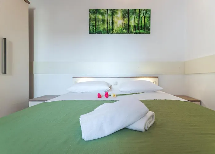 Guest house Nena 3*