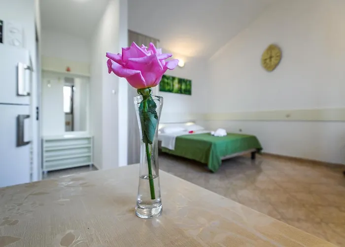 Guest house Nena 3*