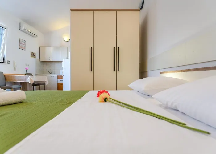 Guest house Nena 3*