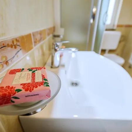 招待所 Nena 扎达尔