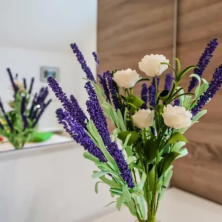 بيت ضيافة Nena