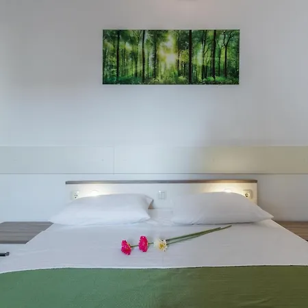 بيت ضيافة Nena